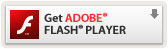 Flash Player